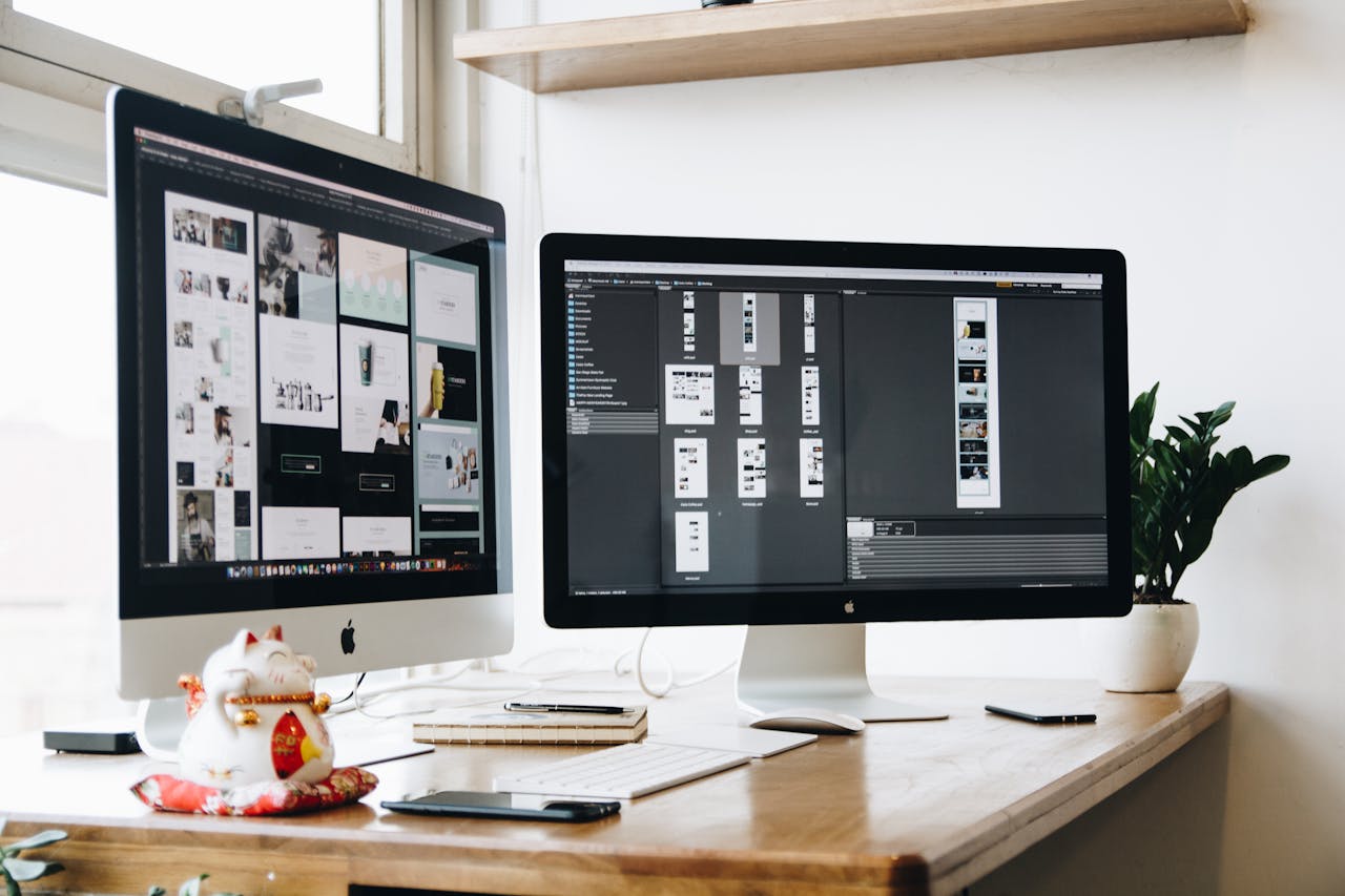 Web Design & Development